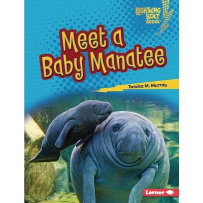 Meet a Baby Manatee