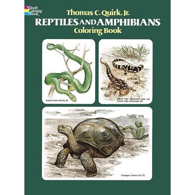 Reptiles and Amphibians Coloring Book
