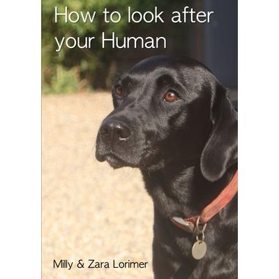 How to look after your Human