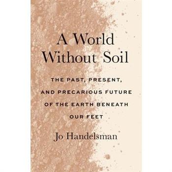 A World Without Soil