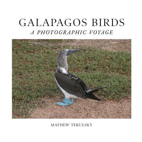 Galapagos BirdsA Photographic Voyage