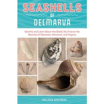 Seashells of Delmarva