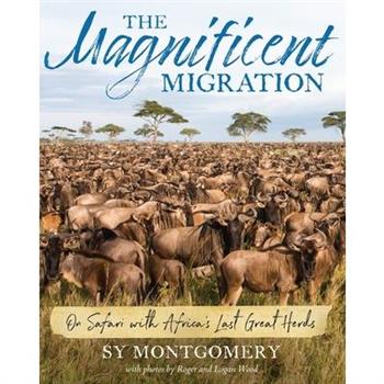 The Magnificent Migration
