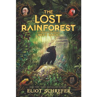 The Lost Rainforest: Mez’s Magic