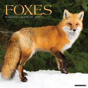 Foxes 2026 12 X 12 Wall Calendar