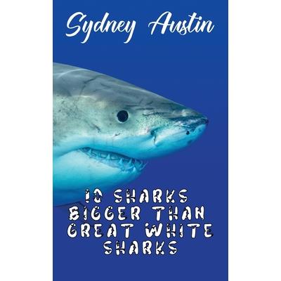 10 Sharks Bigger Than Great White Sharks