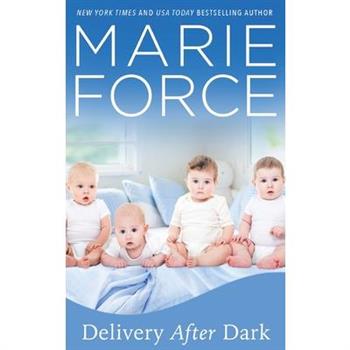 Delivery After Dark, A Gansett Island Novel