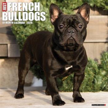 French Bulldogs 2026 12 X 12 Wall Calendar