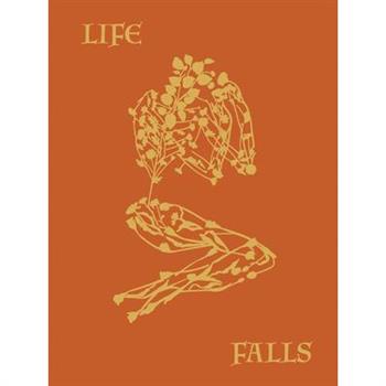 Sam Falls - After Life