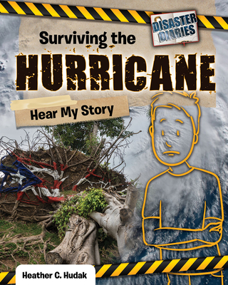 Surviving the hurricane : hear my story /