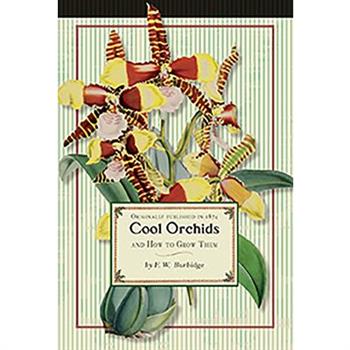 Cool Orchids and How to Grow Them