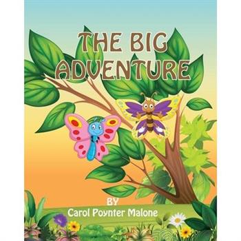 The Big Adventure