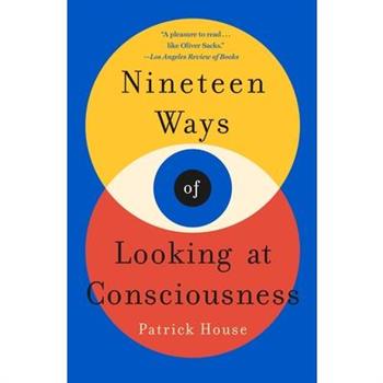 Nineteen Ways of Looking at Consciousness
