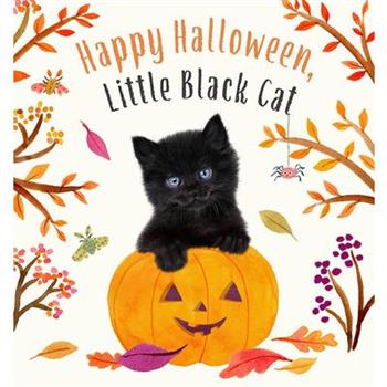Happy Halloween, Little Black Cat