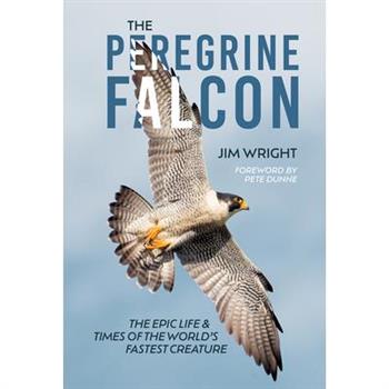 The Peregrine Falcon