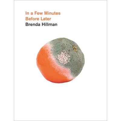 In a Few Minutes Before Later