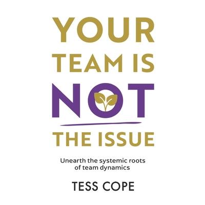 Your Team Is Not the Issue