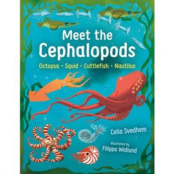 Meet the Cephalopods