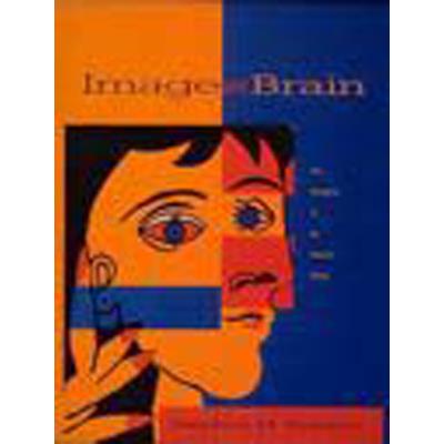 Image And Brain