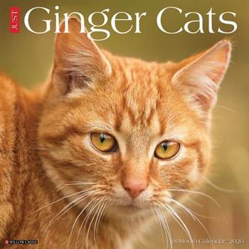 Ginger Cats 2026 12 X 12 Wall Calendar