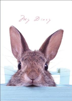 Sneaky Bunny Lock & Key Diary