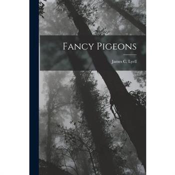 Fancy Pigeons