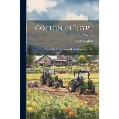 Cotton in Egypt