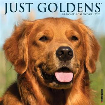 Goldens 2026 12 X 12 Wall Calendar