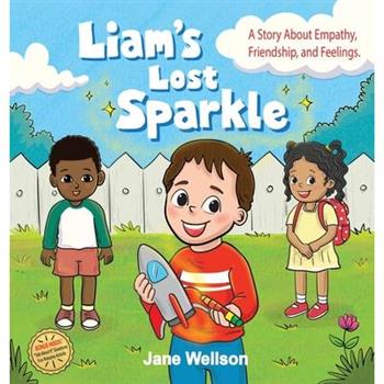 Liam's Lost Sparkle