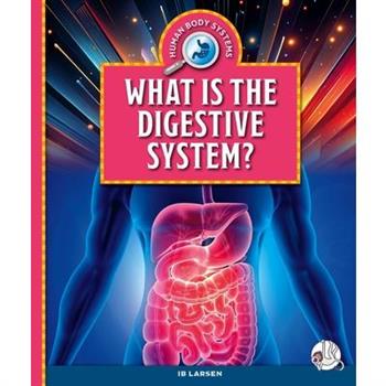 What Is the Digestive System?