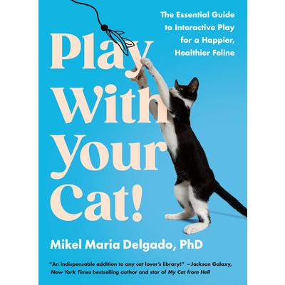 Play with Your Cat! Play with Your Cat!