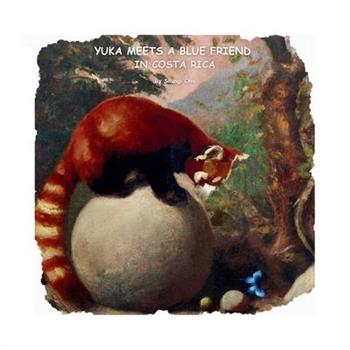 Yuka meets a blue friend in Costa Rica