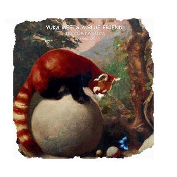 Yuka meets a blue friend in Costa Rica