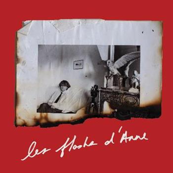 Anne Day: Les Flashes d'Anne