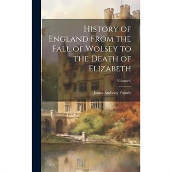 History of England From the Fall of Wolsey to the Death of Elizabeth; Volume 6