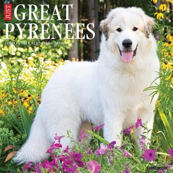 Great Pyrenees 2026 12 X 12 Wall Calendar