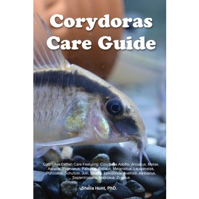 Corydoras Care Guide. Corydoras Catfish Care Featuring