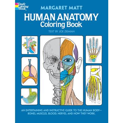 Human Anatomy Coloring Book