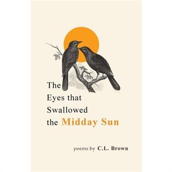 The Eyes That Swallowed the Midday Sun