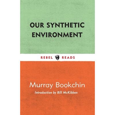 Our Synthetic Environment
