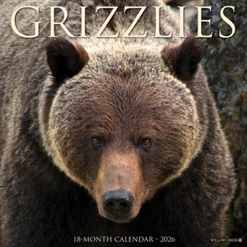 Grizzlies 2026 12 X 12 Wall Calendar