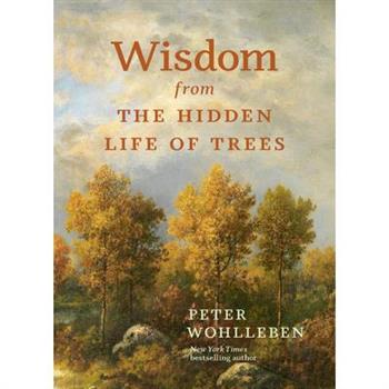 Wisdom from the Hidden Life of Trees