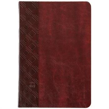 The Passion Translation New Testament (2020 Edition) Brown
