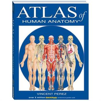 Atlas of the Human Anatomy