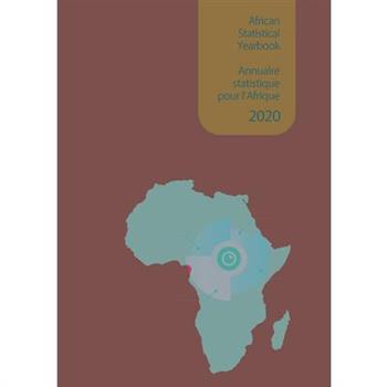 African Statistical Yearbook 2020