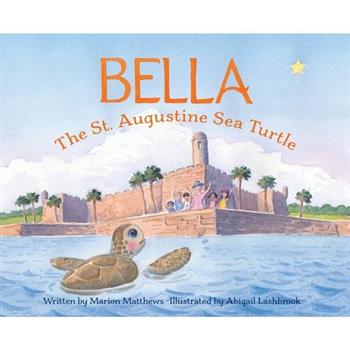 Bella the St. Augustine Sea Turtle