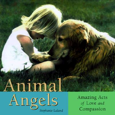 Animal Angels