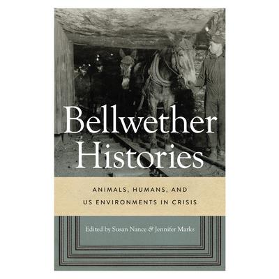 Bellwether Histories