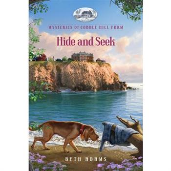 Hide and Seek