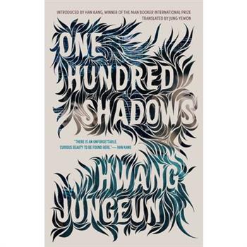One Hundred Shadows